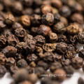 Black pepper seed good Price pepper spices